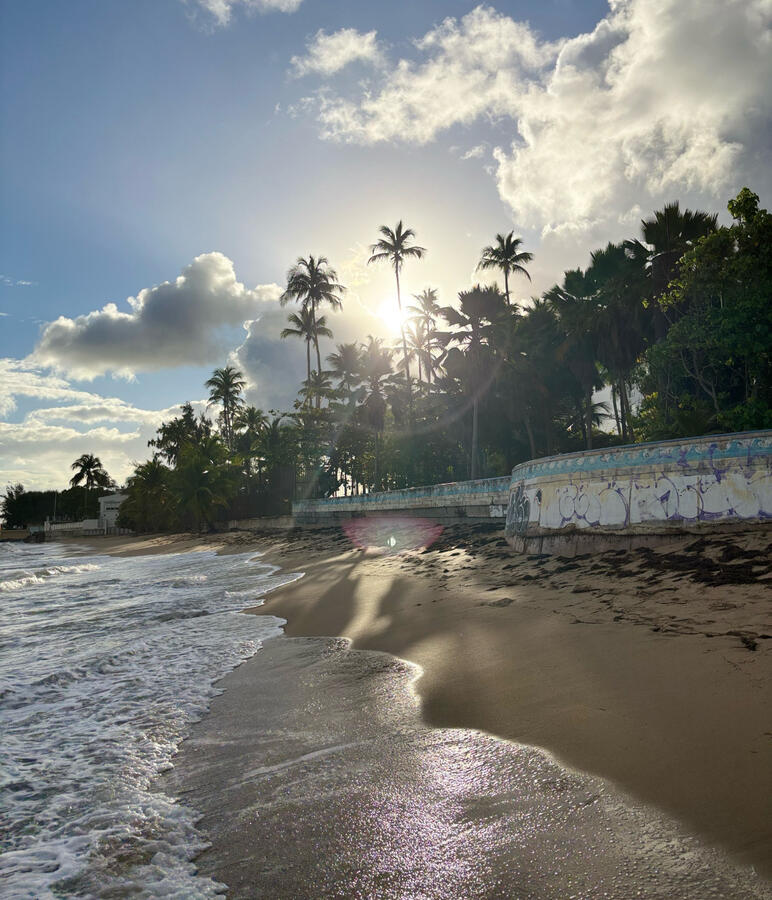 Sunny San Juan! Sunny San Juan!