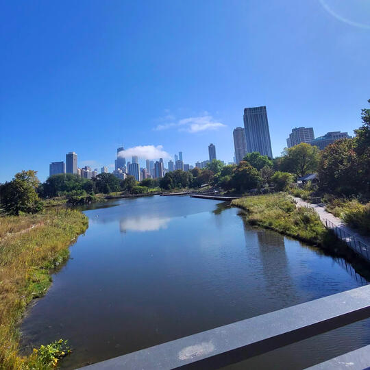 OIYC Views